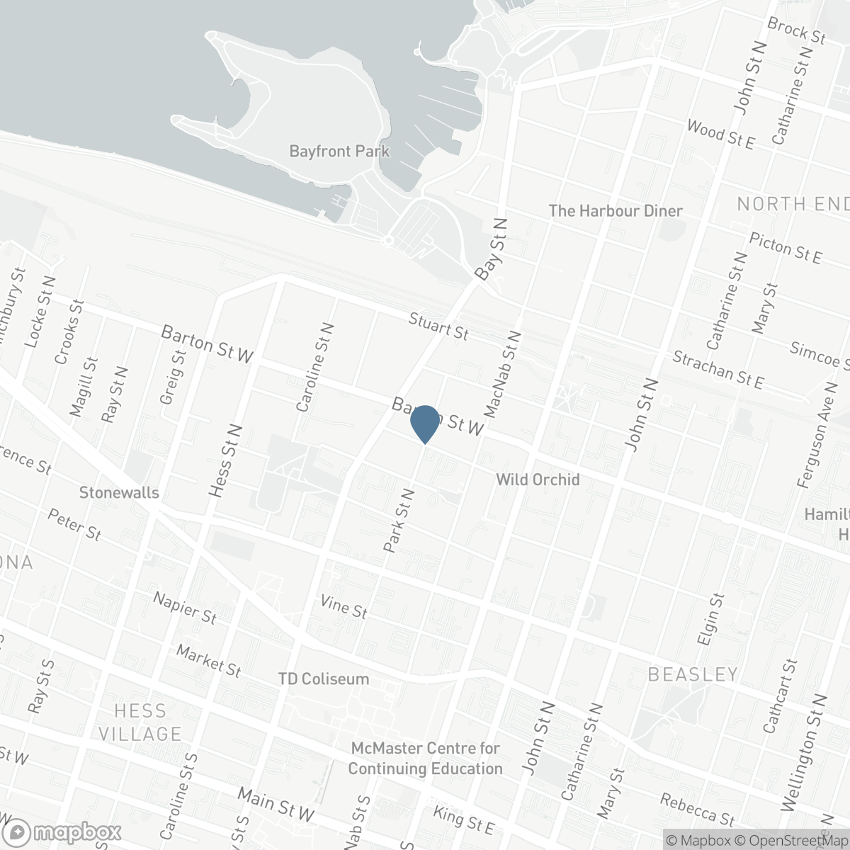 223 PARK Street N, Hamilton, Ontario L8R 2N9